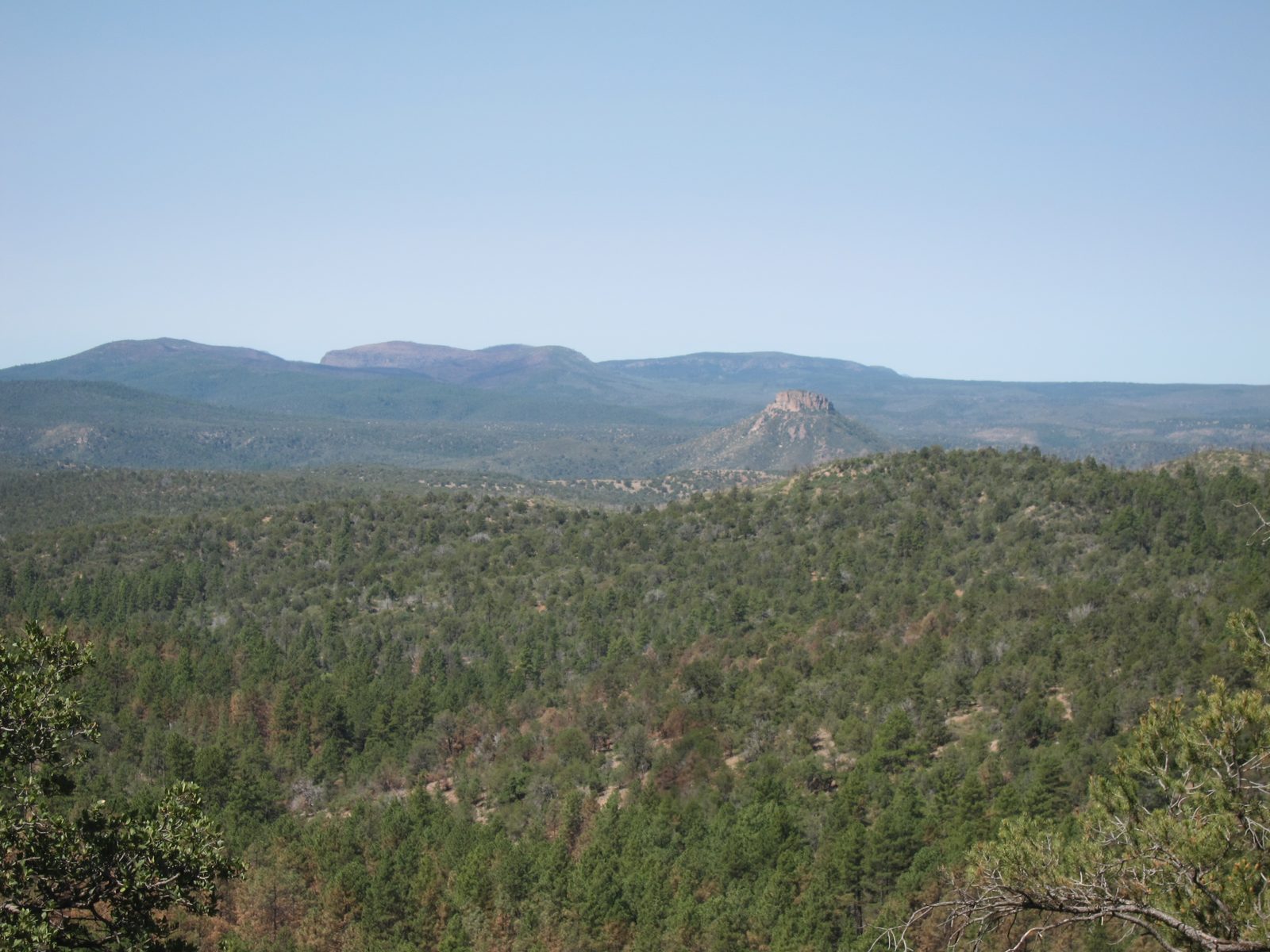 Our last day in Rim Country we drove south on another unpaved Forest Road though Young AZ (the...